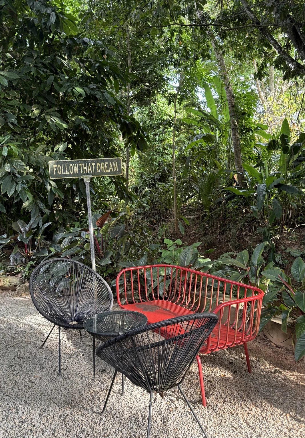 Follow that dream sign