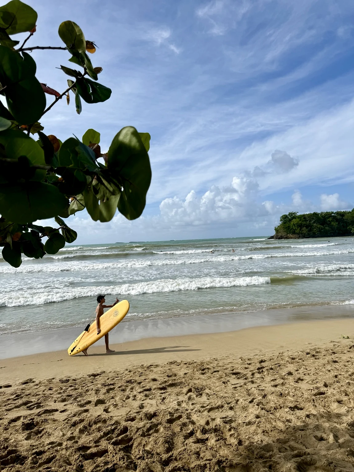 Surfer walking along the beach